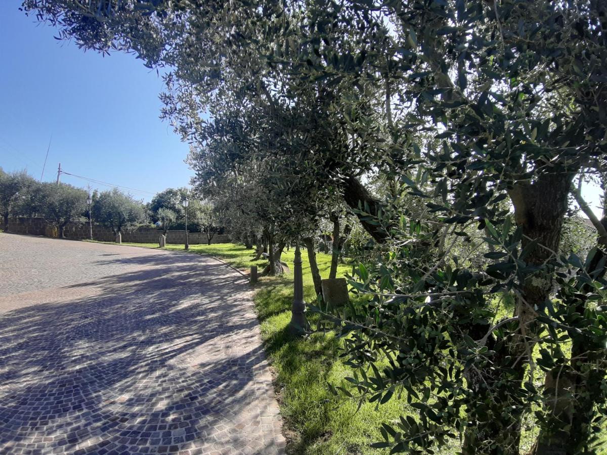 B&B Le Bacette Caprarola Exterior photo